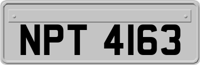 NPT4163