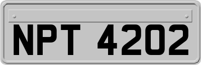 NPT4202