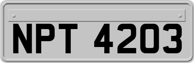NPT4203