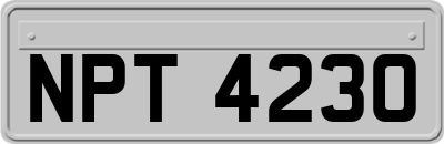 NPT4230