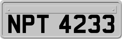 NPT4233