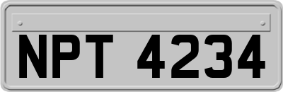 NPT4234