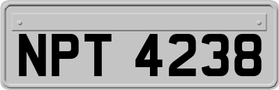 NPT4238