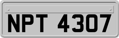 NPT4307