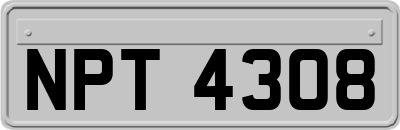 NPT4308