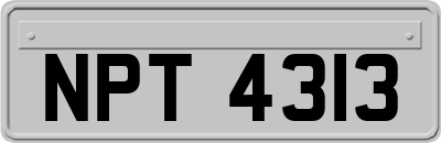 NPT4313