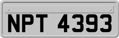 NPT4393