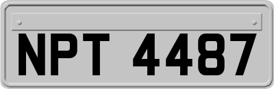 NPT4487
