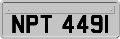 NPT4491