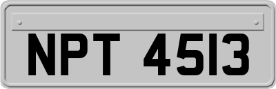 NPT4513