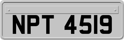 NPT4519