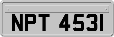 NPT4531
