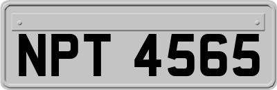 NPT4565