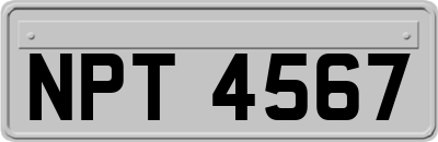 NPT4567