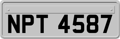 NPT4587