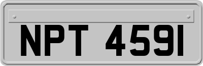 NPT4591