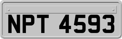 NPT4593
