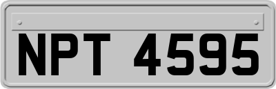 NPT4595