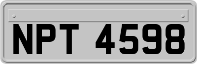 NPT4598