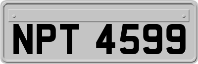 NPT4599