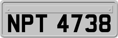 NPT4738