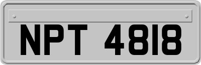 NPT4818