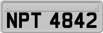 NPT4842