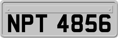 NPT4856
