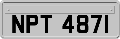 NPT4871