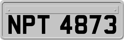 NPT4873