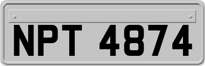 NPT4874