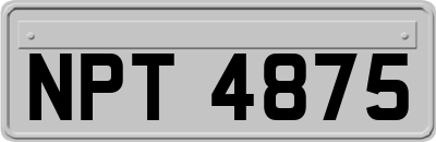 NPT4875