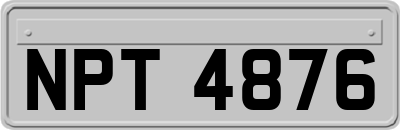 NPT4876