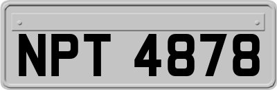NPT4878