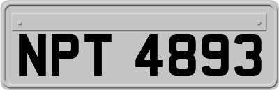 NPT4893