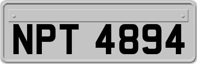 NPT4894