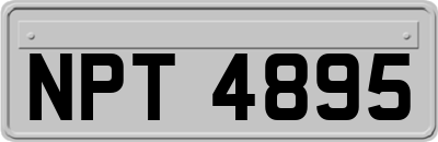 NPT4895