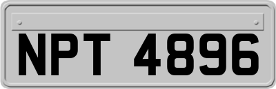 NPT4896