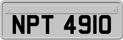 NPT4910