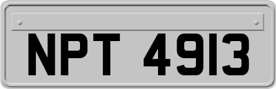 NPT4913
