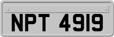 NPT4919