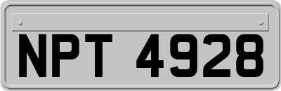 NPT4928