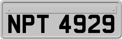 NPT4929
