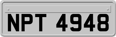 NPT4948