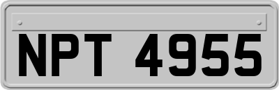 NPT4955