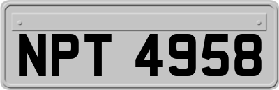 NPT4958