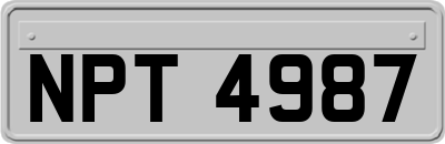 NPT4987