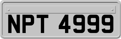 NPT4999