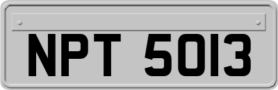 NPT5013