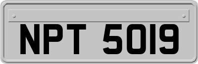 NPT5019